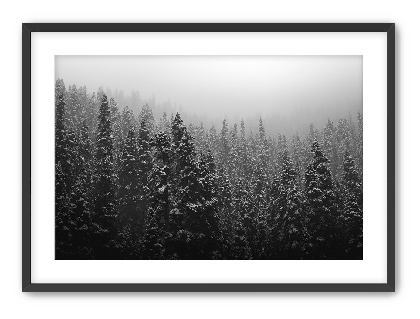 Winter Storm