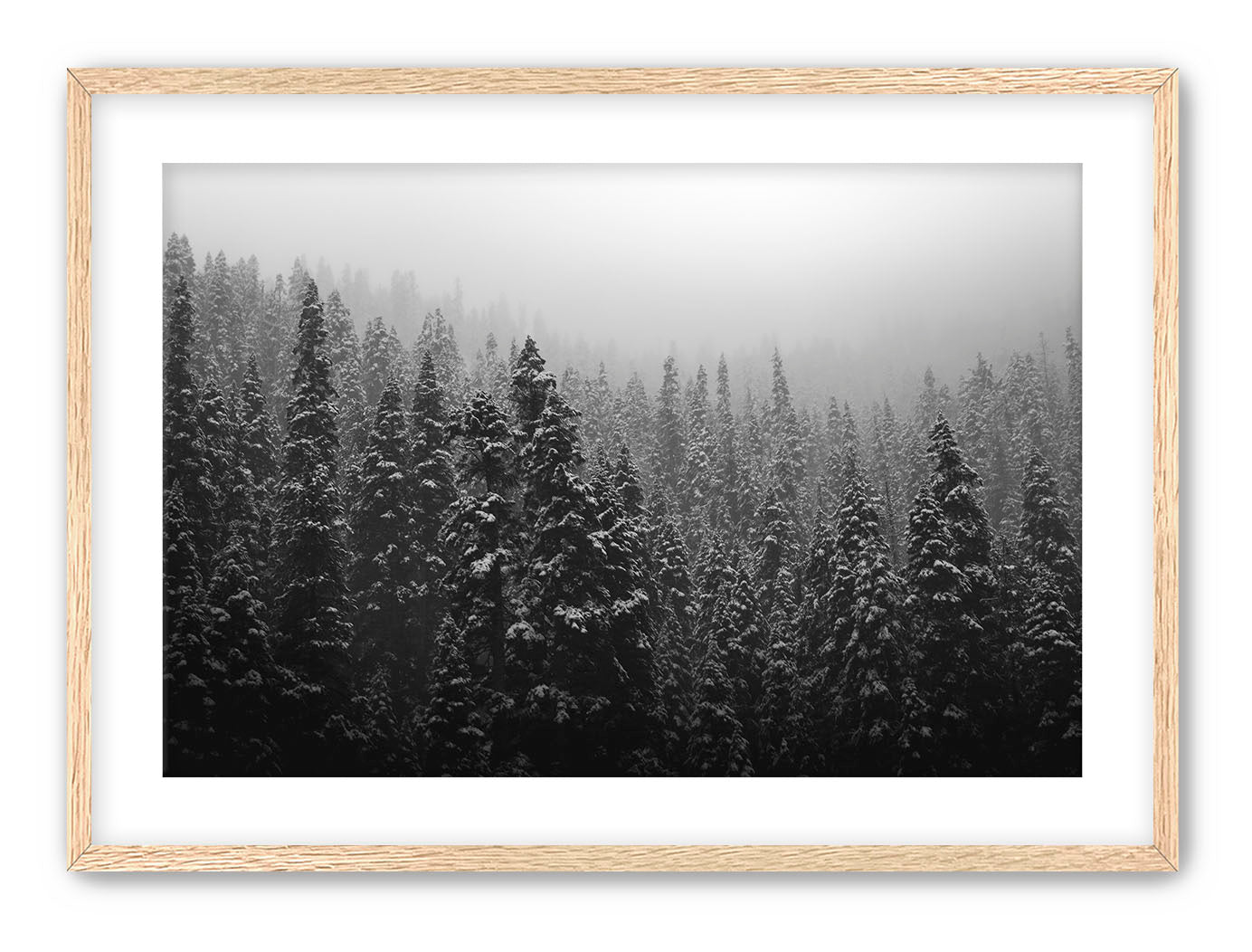 Winter Storm